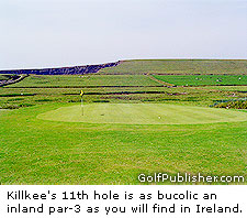The Par-3 11th Hole