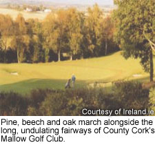 County Cork's Mallow Golf Club